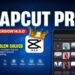 Capcut pro mod