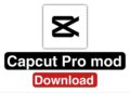 capcut pro mod apk