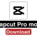 capcut pro mod apk