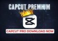 capcut pro