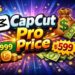 Capcut pro price