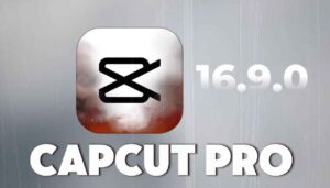 capcut premium download 