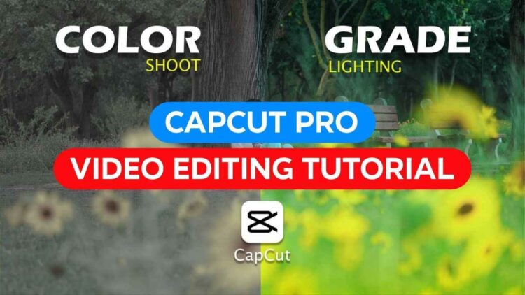 Capcut Video Editing Tutorial