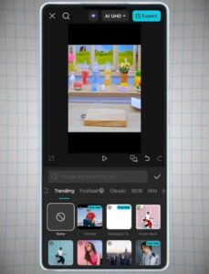 capcut pro version 9.8 0